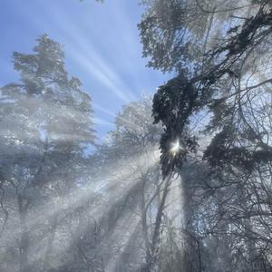 性孩交,娇小,呦交hd
